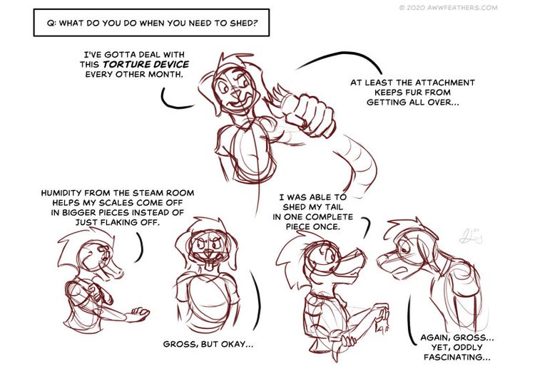 Behind the scenes image 1