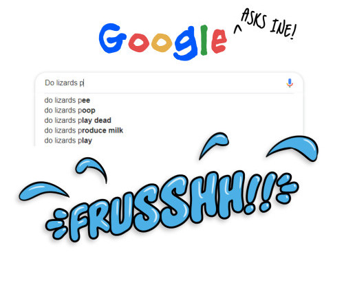 Google Asks Ine (P-R)