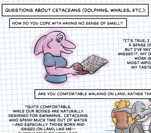 Q&A: Cetaceans 1